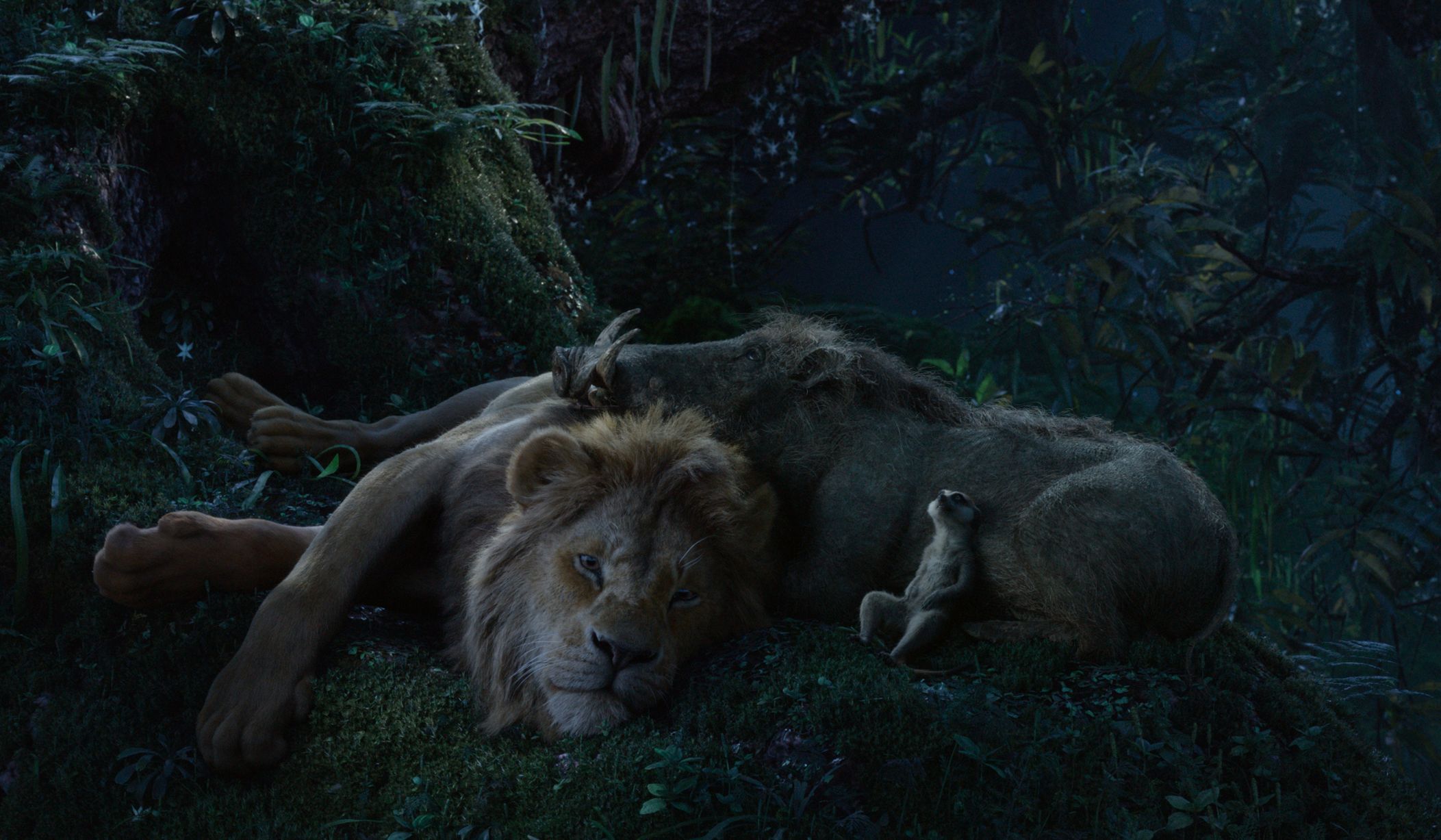 Disney When Timon thought that the stars in the skies were fireflies.